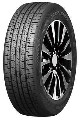 Шины Double Star DSS02 245/65R17 107H